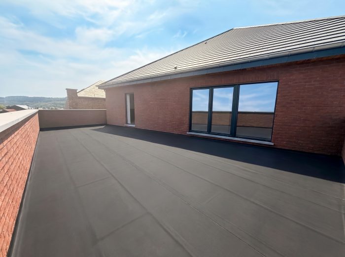 IMG_0600-optimisee
